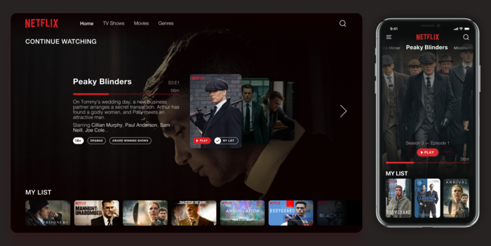 Image of project Netflix redesign